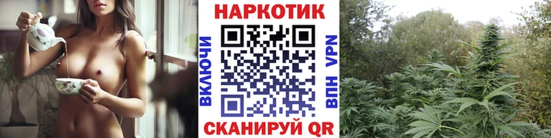 Что такое Скопин АМФ Меф ГАШ Псилоцибиновые грибы СОЛЬ Конопля