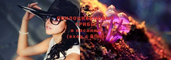 ГАЛЛЮЦИНОГЕННЫЕ ГРИБЫ Сатка