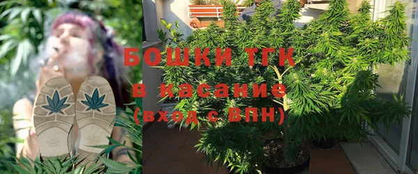 ГАЛЛЮЦИНОГЕННЫЕ ГРИБЫ Саяногорск