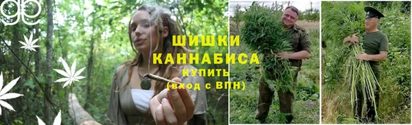 мескалин Лагань